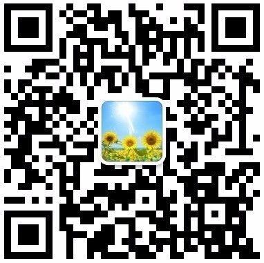 无壳蜗牛，家在何处？