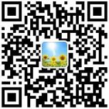 瘢痕的奏鸣——献给汶川地震中罹难的孩子们