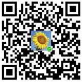 诗 | 等候你来临(外二首) 诗 | 等候你来临(外二首)