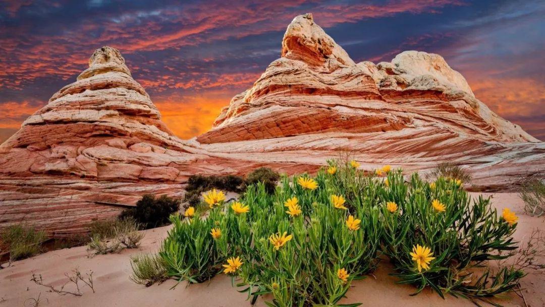 把爱吃下去，勇敢活下去！