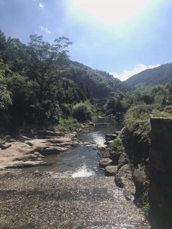 奇妙的寻根之旅
