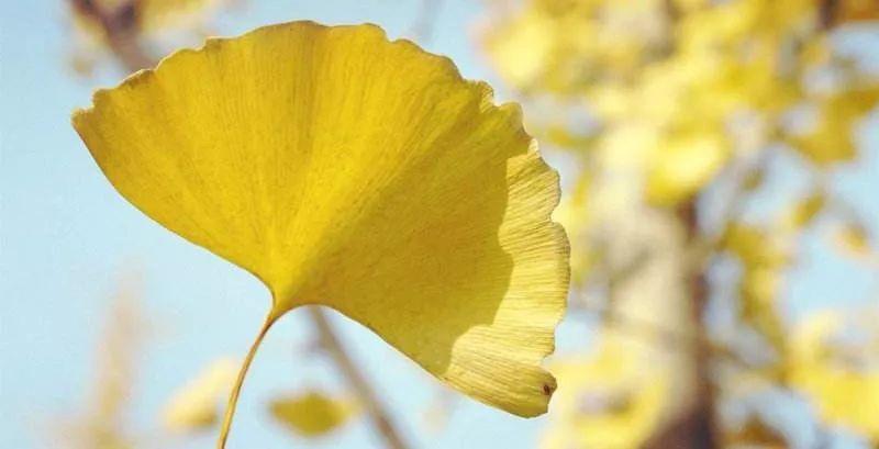 把爱吃下去，勇敢活下去！