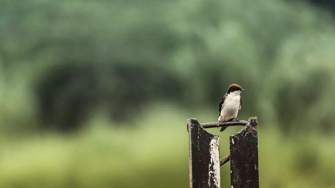 人生的结局