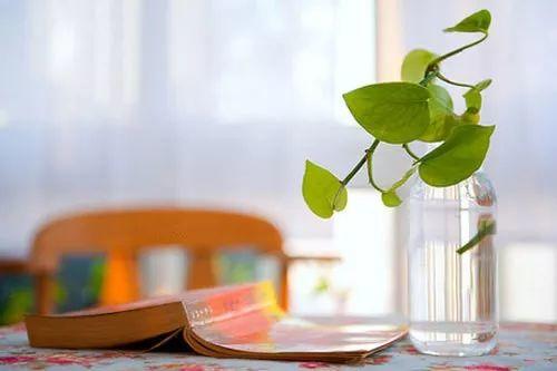 作家谈写作:信神能把文章写得更好 作家谈写作:信神能把文章写得更好