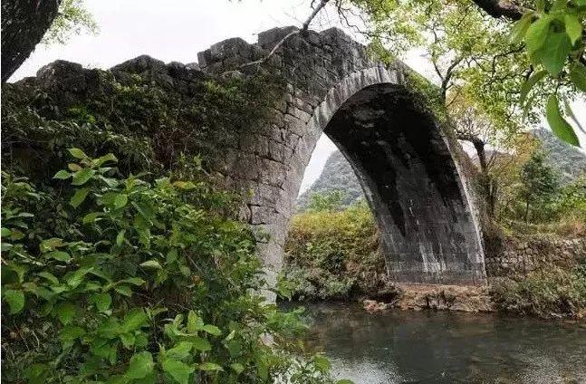 你从彼岸俯身，脚跟钉于泥土