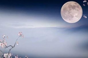 中秋望月——遥想东坡与大卫