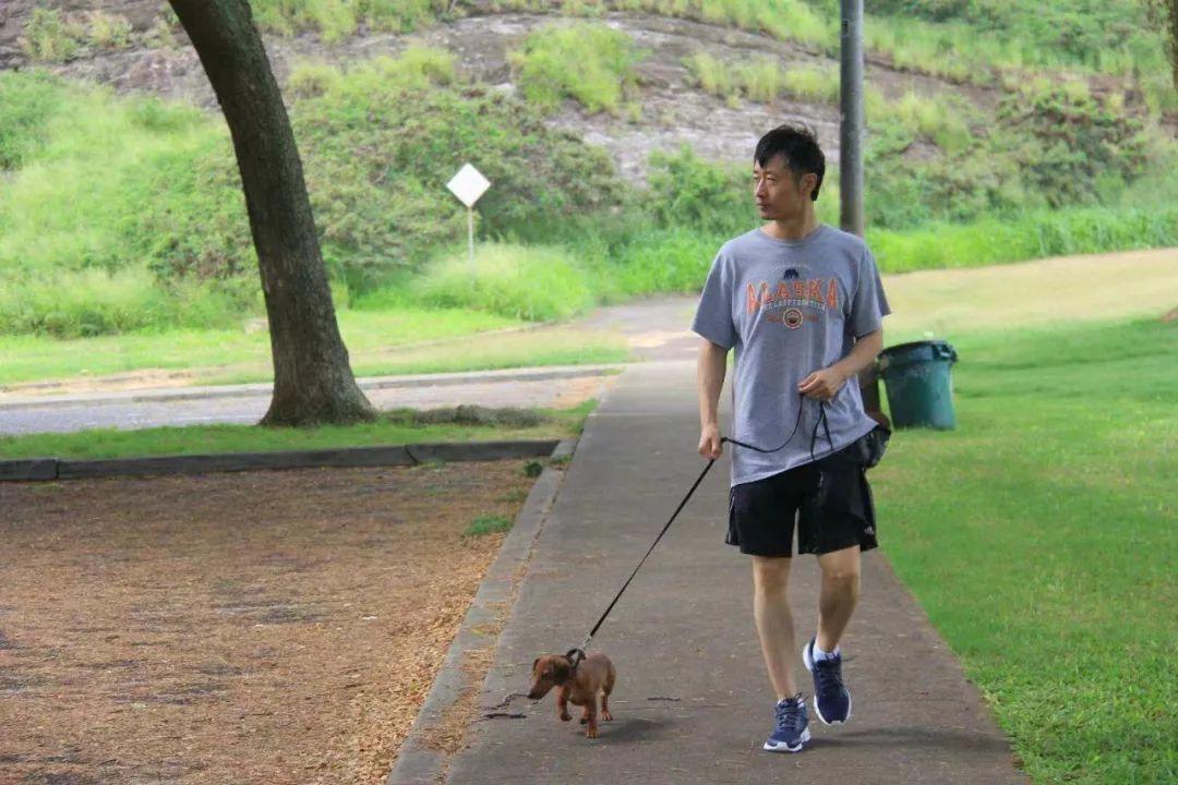 我向小狗学功课