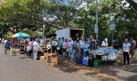 看！那群傻傻的乡民