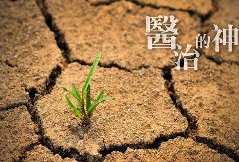 见证 | 十几年的痼疾,竟这样痊愈了! 见证 | 十几年的痼疾,竟这样痊愈了!