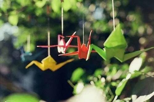 不只化险为夷，转危为安——说说我们的这一年