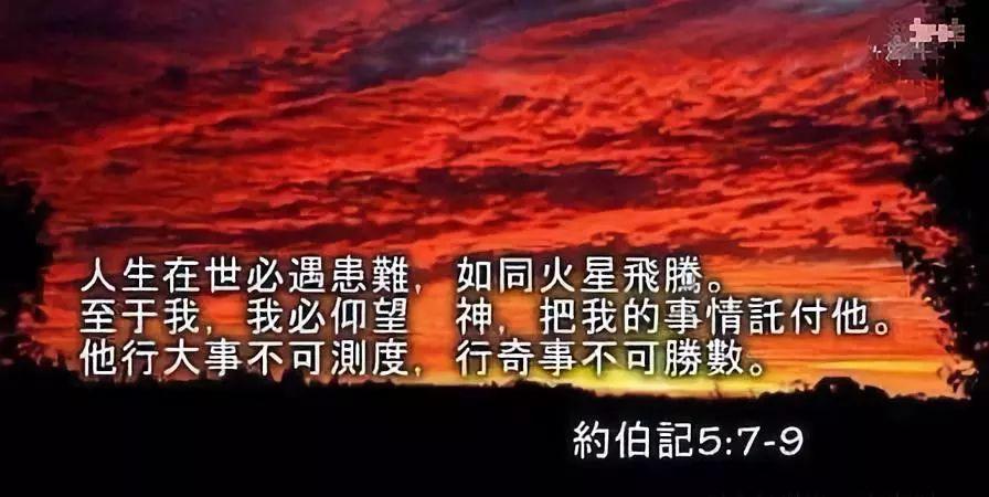 生命的更新，常常借着苦境