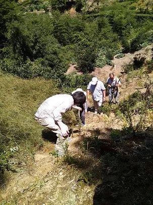 奇妙的寻根之旅