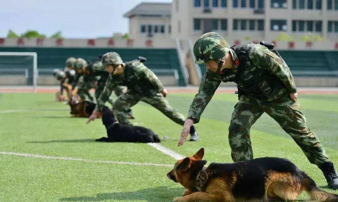 难兄难弟