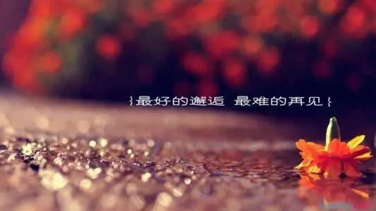 不是风花雪月的故事