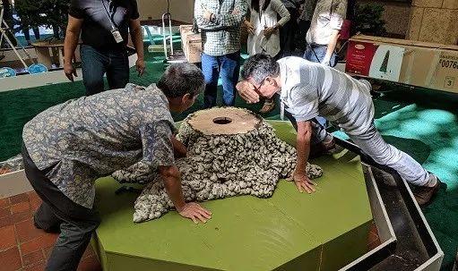 想象力加执行力，平凡变卓越！