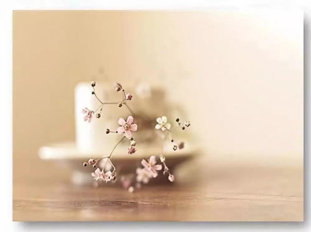 三只小猪与住棚节 三只小猪与住棚节