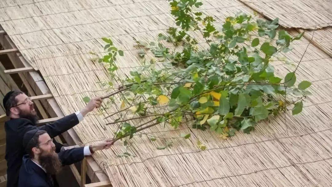 三只小猪与住棚节