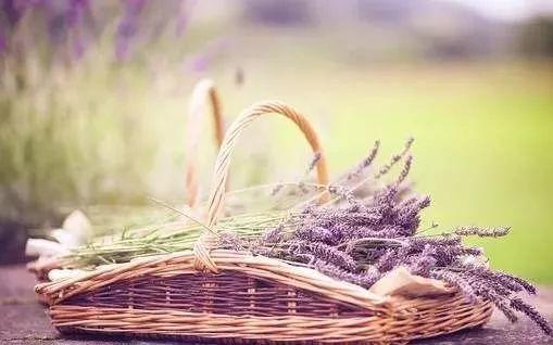 越狱 越狱