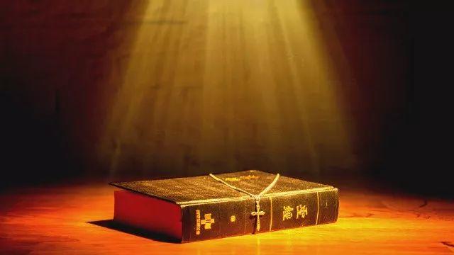​我将满是尘土的脸埋进去，扑进阔别已久的故乡