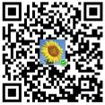 没有人是一座孤岛 没有人是一座孤岛