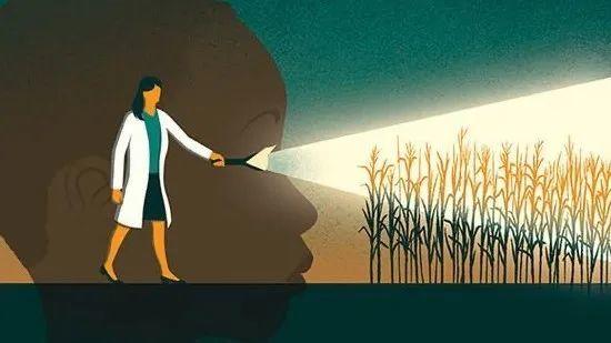 什么时候能开学? 什么时候能开学?
