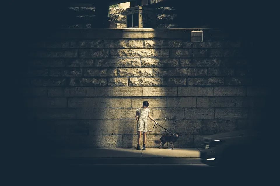 我仍要说：耶和华是我的避难所