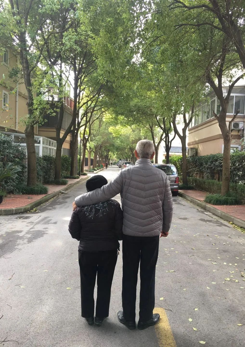 你的生命不至于此 你的生命不至于此