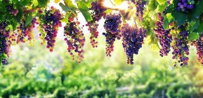罪，悄无声息
