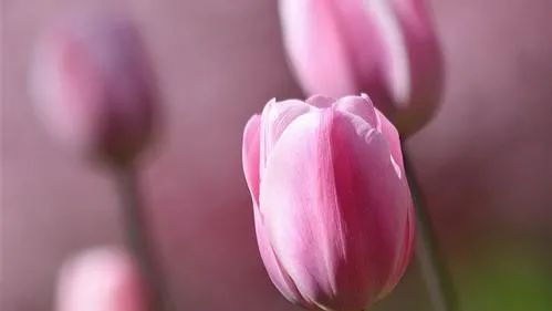 见证｜真正的祝福