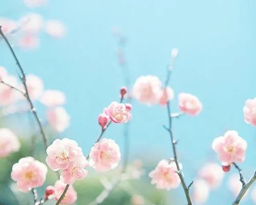 小心“买椟还珠” 小心“买椟还珠”