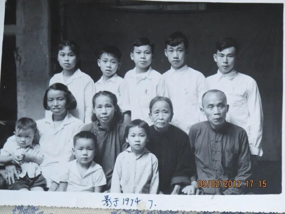 苦菜拌黄莲——母亲节纪念母亲薛草 苦菜拌黄莲——母亲节纪念母亲薛草